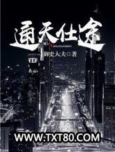 通天仕途图片
