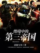 绝境中的第三帝国图片