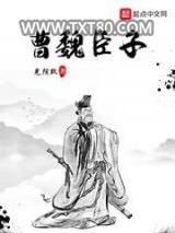 曹魏臣子图片
