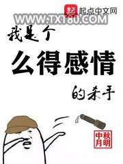 我是个么得感情的杀手图片