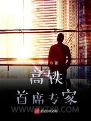 《高铁首席专家》全本TXT下载-作者：高铁侠客