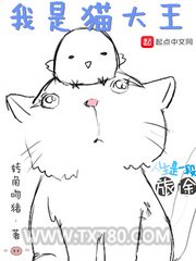 我是猫大王图片