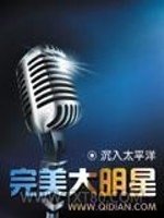 《完美大明星》全本TXT下载-作者：沉入太平洋