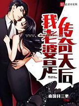《我老婆是传奇天后》全本TXT下载-作者：南国月三更