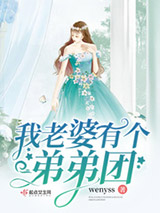 《我老婆有个弟弟团》全本TXT下载-作者：wenyss