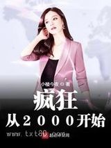 《疯狂从2000开始》全本TXT下载-作者：小楼今夜