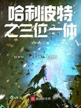 《哈利波特之三位一体》全本TXT下载-作者：klason