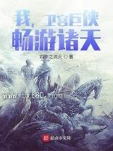 《我，卫宫巨侠，畅游诸天！》全本TXT下载-作者：四季之流火