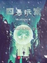 《四号玩家》全本TXT下载-作者：黑心的大白