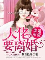 《先婚后爱，大佬要离婚！》全本TXT下载-作者：冬日微暖