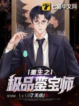 《重生之极品鉴宝师》全本TXT下载-作者：了无优