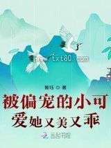 《被偏宠的小可爱她又美又乖》全本TXT下载-作者：箐珏