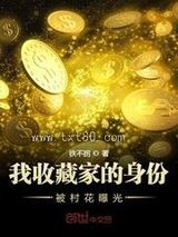 我收藏家的身份被村花曝光图片