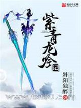 紫青龙吟记图片