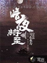 《暗夜将至》全本TXT下载-作者：耳东水寿