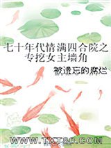 《七十年代情满四合院之专挖女主墙角》全本TXT下载-作者：被遗忘的腐烂