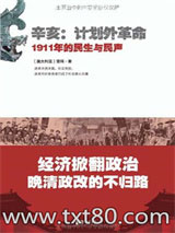 辛亥·计划外革命：1911年的民生与民声图片