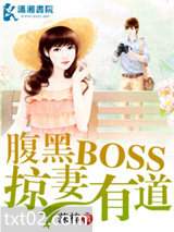 腹黑BOSS掠妻有图片