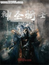 重生之神圣骑士图片