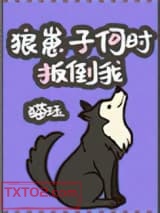 《狼崽子何时扳倒我》全本TXT下载-作者：猫珏