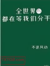 全世界都在等我们分手小说