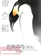 《帝企鹅在线养鸟》全本TXT下载-作者：慕容离白