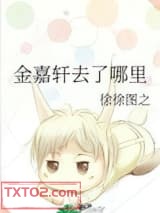 《金嘉轩去了哪里》全本TXT下载-作者：徐徐图之
