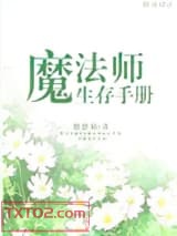 《魔法师生存手册》全本TXT下载-作者：悠悠仙