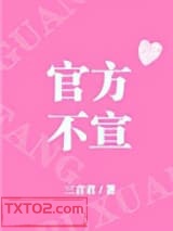 《官方不宣[娱乐圈]》全本TXT下载-作者：三言君