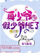 真少爷和假少爷HE了图片