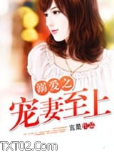 《溺爱之宠妻至上》全本TXT下载-作者：言是