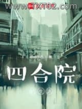 《四合院的生活》全本TXT下载-作者：缺点东西