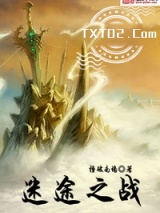 迷途之战图片