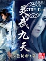 灵武九天图片