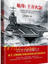 航母：十万火急！图片