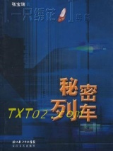 《秘密列车》全本TXT下载-作者：张宝瑞
