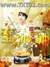 《至尊小厨神》全本TXT下载-作者：木小榆