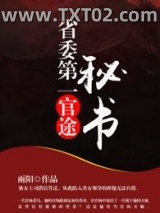 官途：省委第一秘书图片