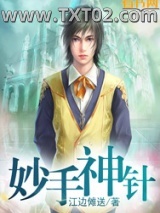 《极品神医》全本TXT下载-作者：江边傩送