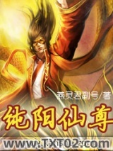 纯阳仙尊图片
