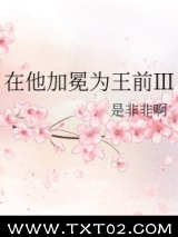 在他加冕为王前Ⅲ