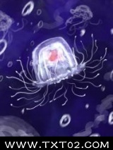 小水母的海底历险记图片