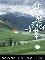 《先生，我想给你小草》全本TXT下载-作者：东哑巴