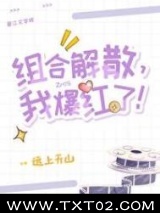 组合解散，我爆红了！