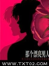 《那个漂亮男人》全本TXT下载-作者：吃兔兔不吃菜