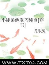《小徒弟他乖巧纯良[穿书]》全本TXT下载-作者：龙眼兔