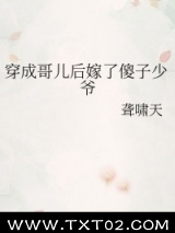 穿成哥儿后嫁了傻子少爷图片