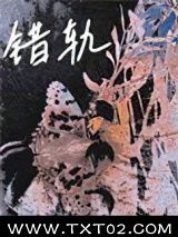 《错轨》全本TXT下载-作者：不甜茶