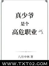真少爷是个高危职业图片