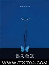 《误入金笼》全本TXT下载-作者：贺新郎